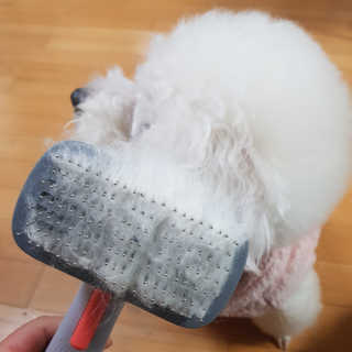 롤리팝님이 올린 리뷰 사진 3