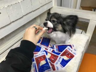 하나마리님이 올린 리뷰 사진 2