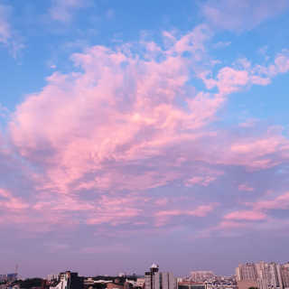 맵꾸미 쭈꾸미볶음 450g — 5점을 준 리뷰어가 2019년 8월 올린 사용 사진