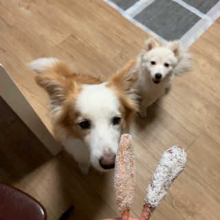 떡볶이죠아님이 올린 리뷰 사진 3