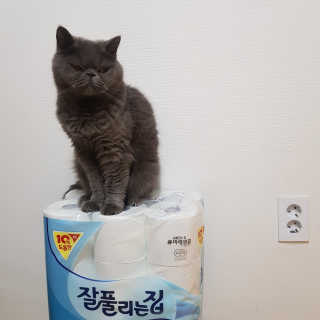 잘풀리는집 더 도톰한 3겹 데코 30롤 — 5점을 준 리뷰어가 2018년 5월 올린 사용 사진
