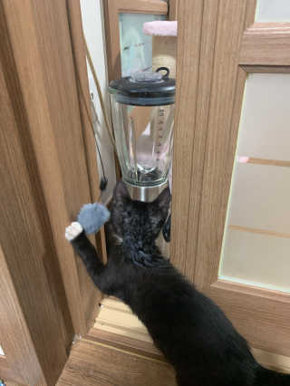 랑이님이 올린 리뷰 사진 1