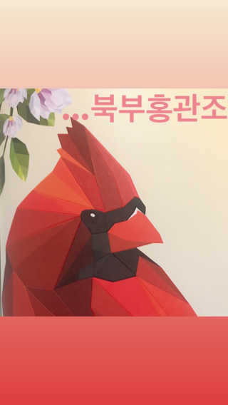 DNA디자인스튜디오 데코폴리 스티커 컬러링 북 — 4점을 준 리뷰어가 2019년 4월 올린 사용 사진