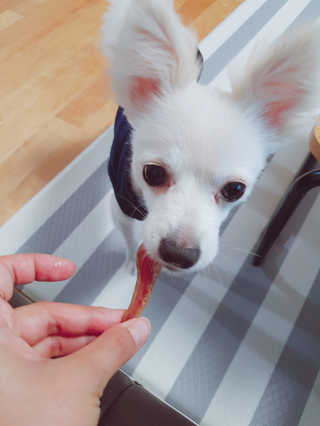 YouReena님이 올린 리뷰 사진 3