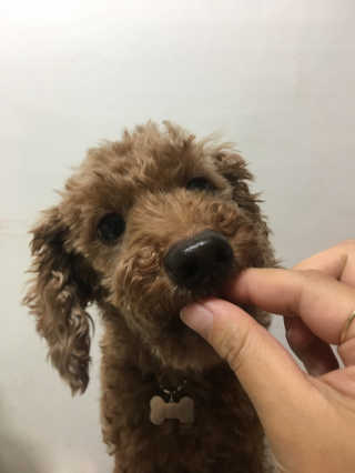 쥬비몬님이 올린 리뷰 사진 3