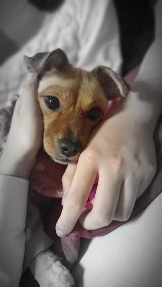 챈님이 올린 리뷰 사진 3