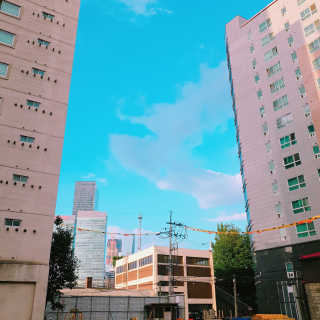 하린이네쭈꾸미 — 5점을 준 리뷰어가 2019년 6월 올린 사용 사진