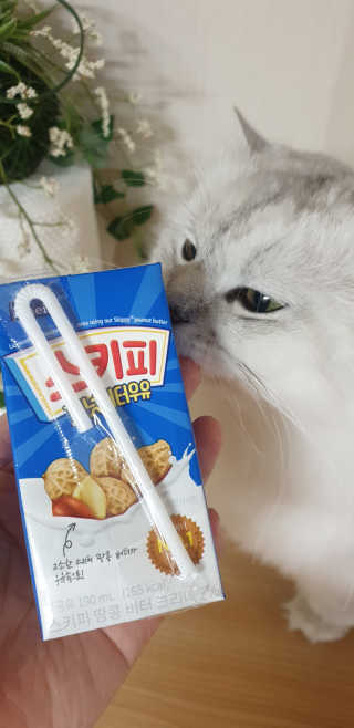 스키피피넛우유 스키피 피넛버터우유 — 5점을 준 리뷰어가 2019년 11월 올린 사용 사진