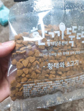 펫토리아 한끼뚝딱 클래식 국산 건식사료 — 5점을 준 리뷰어가 2019년 7월 올린 사용 사진