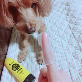 임희승님이 올린 리뷰 사진 3
