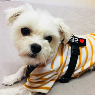 당근님이 올린 리뷰 사진 2