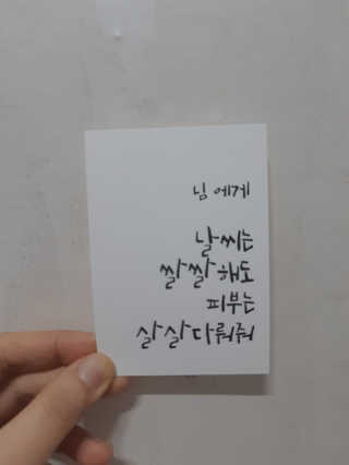 메이베나 1일 1팩 뽑아쓰는 마스크팩 — 5점을 준 리뷰어가 2019년 2월 올린 사용 사진