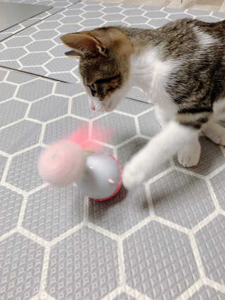 hyoya님이 올린 리뷰 사진 3