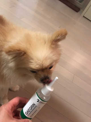 박혜림님이 올린 리뷰 사진 3