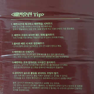 J님이 올린 리뷰 사진 2