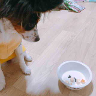 큡빠님이 올린 리뷰 사진 4