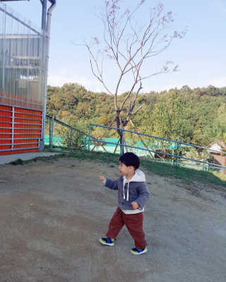 빵이님이 올린 리뷰 사진 3