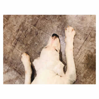다해님이 올린 리뷰 사진 2