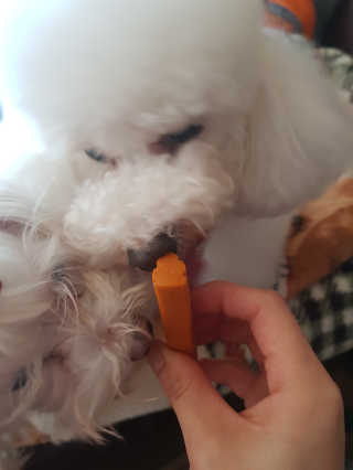 미미네님이 올린 리뷰 사진 2