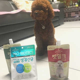 [빙그레] 에버그로 생유산균 1봉（10포입）+펫밀크2팩 — 5점을 준 리뷰어가 2019년 6월 올린 사용 사진