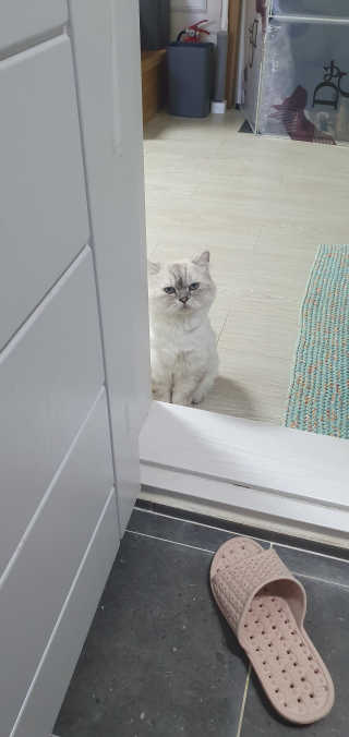 이아라님이 올린 리뷰 사진 2