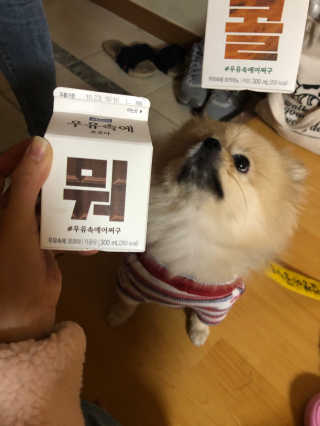 [매일유업] 우유속에 어쩌구_3개 세트 모바일 쿠폰 — 5점을 준 리뷰어가 2019년 10월 올린 사용 사진