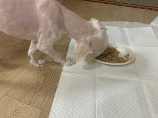 yoggoringring님이 올린 리뷰 사진 1
