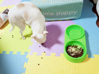 이선영님이 올린 리뷰 사진 3