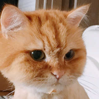 나르미르님이 올린 리뷰 사진 2