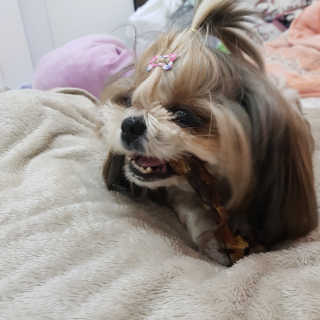 민준맘님이 올린 리뷰 사진 4