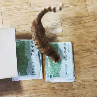 니나노나님이 올린 리뷰 사진 3
