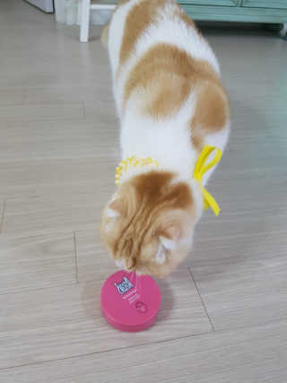 소피마르소님이 올린 리뷰 사진 4
