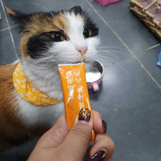 수덩이님이 올린 리뷰 사진 1