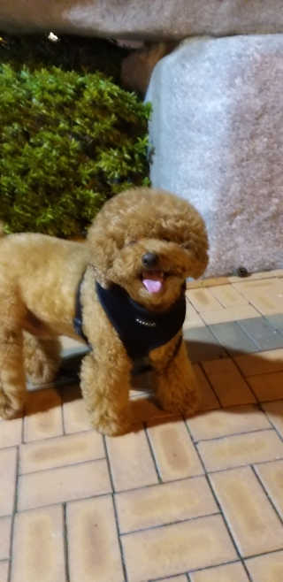 용용마마님이 올린 리뷰 사진 3