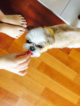 noname님이 올린 리뷰 사진 3