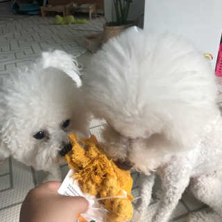 콩이님이 올린 리뷰 사진 2