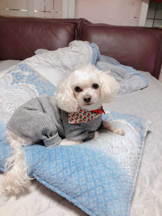 모모님이 올린 리뷰 사진 4