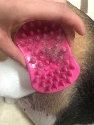 지우님이 올린 리뷰 사진 2