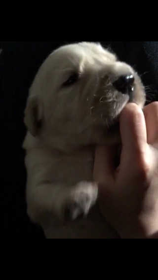 릴리lily님이 올린 리뷰 사진 1