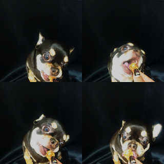 홍은별님이 올린 리뷰 사진 1