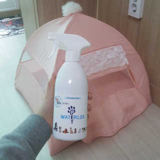 앨롱이님이 올린 리뷰 사진 2