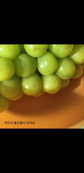 66.tenni님이 올린 리뷰 사진 3