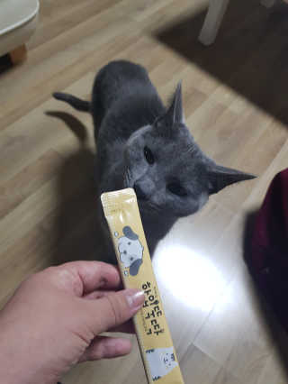 [펫토리아] 강아지,고양이겸용 짜먹는 한입뚝딱 — 4점을 준 리뷰어가 2019년 2월 올린 사용 사진