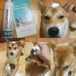 컴백08리터님이 올린 리뷰 사진 1