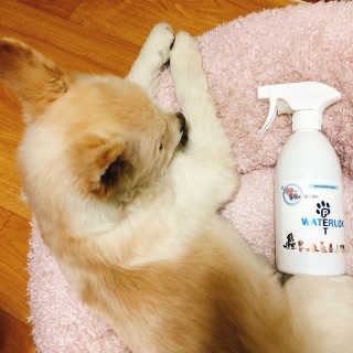 밍님이 올린 리뷰 사진 1