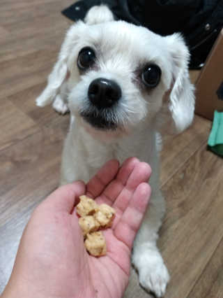 홍아님이 올린 리뷰 사진 1
