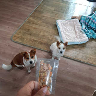 씽썅쑝님이 올린 리뷰 사진 2