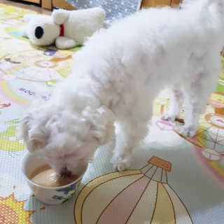 엘비스님이 올린 리뷰 사진 1