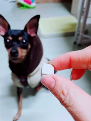 도도님이 올린 리뷰 사진 3
