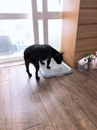DooHeeHwang님이 올린 리뷰 사진 3